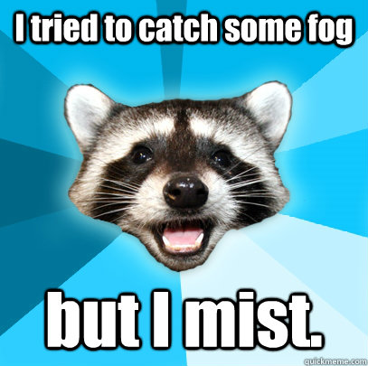 I tried to catch some fog but I mist.  - I tried to catch some fog but I mist.   Lame Pun Coon