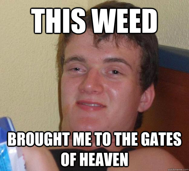 This weed Brought me to the gates of heaven  10 Guy