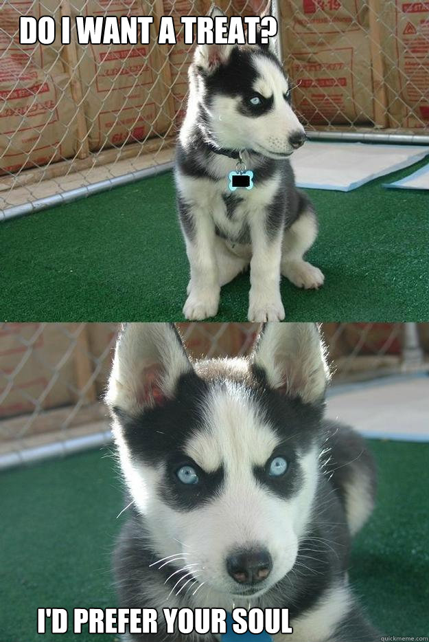 do i want a treat? i'd prefer your soul  Insanity puppy