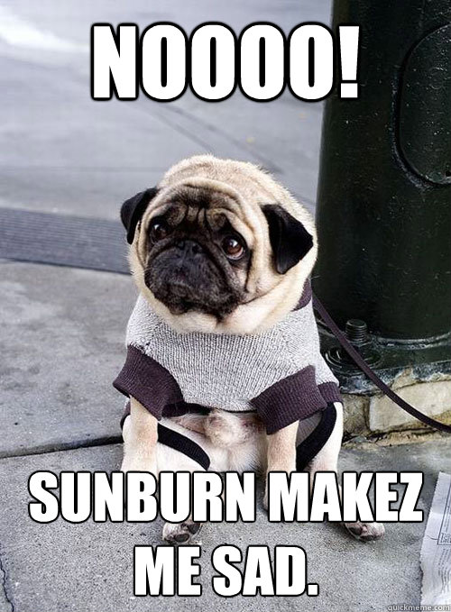 Noooo! sunburn makez me sad.
 - Noooo! sunburn makez me sad.
  Dead Puppy