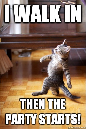 I Walk In Then the party starts! - I Walk In Then the party starts!  Strutting Cat