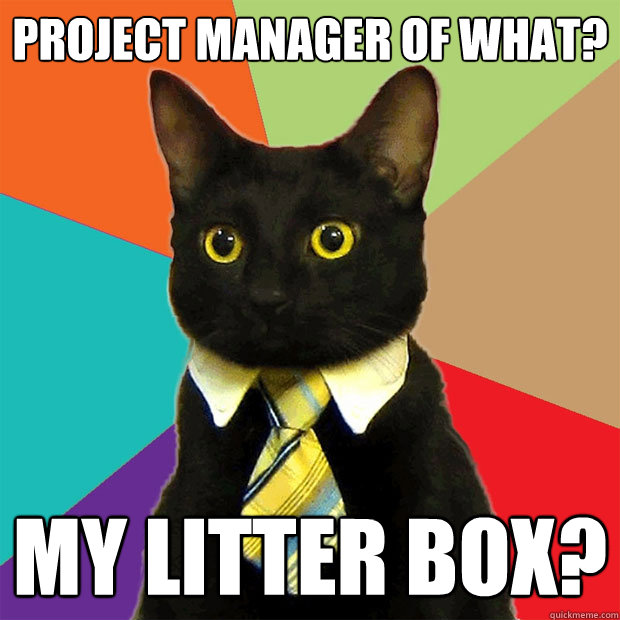 Project manager of what? My litter box?   Business Cat