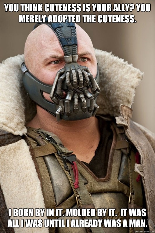 You think cuteness is your ally? You merely adopted the cuteness. I born by in it. Molded by it.  It was all i was until I already was a man.  Sean Connery Bane