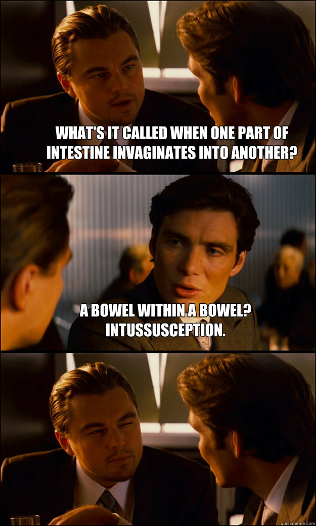 What's it called when one part of intestine invaginates into another? A bowel within a bowel? intussusception.   Inception