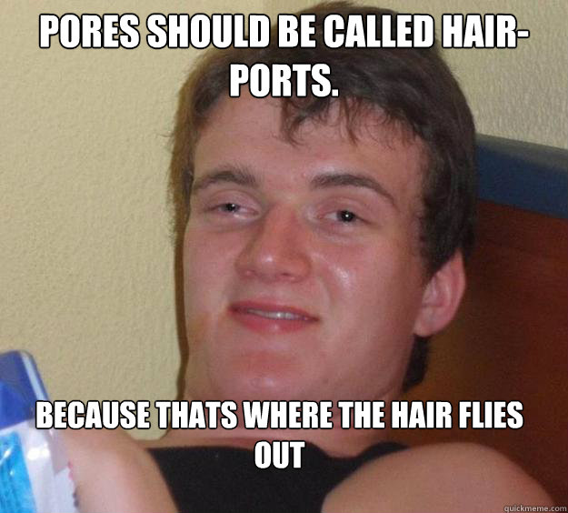 Pores should be called hair-ports. Because thats where the hair flies out
 - Pores should be called hair-ports. Because thats where the hair flies out
  10 Guy