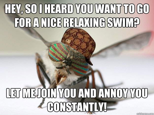 Hey, so I heard you want to go for a nice relaxing swim? Let me join you and annoy you constantly! - Hey, so I heard you want to go for a nice relaxing swim? Let me join you and annoy you constantly!  Damn horsefly!