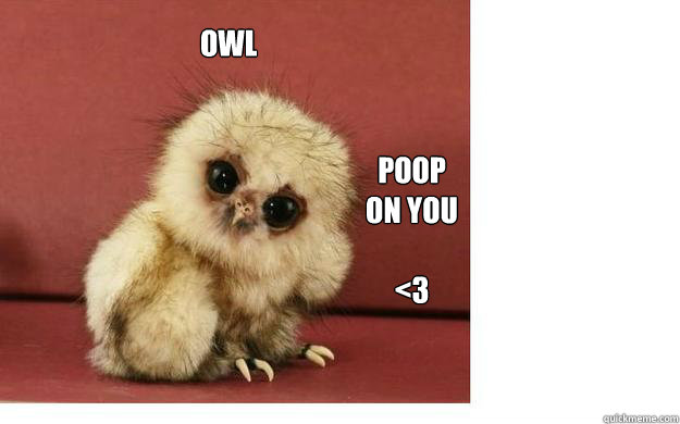 Owl poop on you

<3 - Owl poop on you

<3  All seing owl