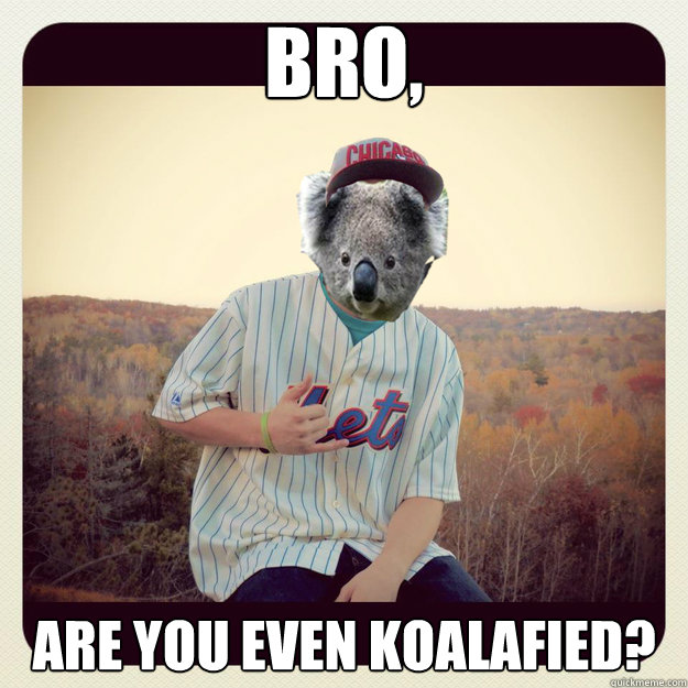 BRO, Are you even Koalafied?  