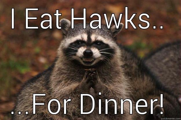 I EAT HAWKS.. ...FOR DINNER! Evil Plotting Raccoon