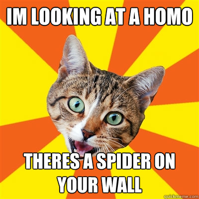 Im looking at a homo theres a spider on your wall   Bad Advice Cat