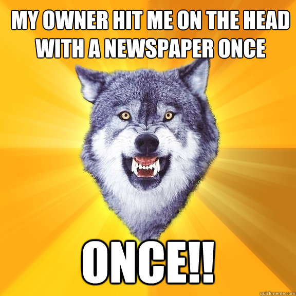 My owner hit me on the head with a newspaper once ONCE!!  Courage Wolf