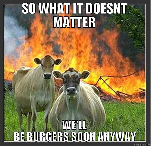 SO WHAT IT DOESNT MATTER WE'LL BE BURGERS SOON ANYWAY Evil cows