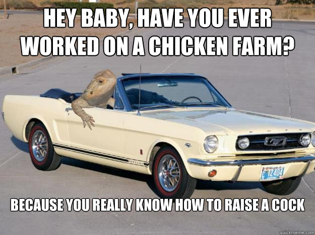 Hey baby, Have you ever worked on a chicken farm? Because you really know how to raise a cock

  Pickup Dragon