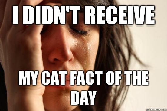 I didn't receive  My cat fact of the day  First World Problems