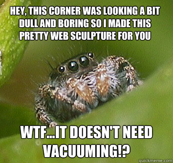 Hey, this corner was looking a bit dull and boring so I made this pretty web sculpture for you WTF...it doesn't need vacuuming!?  Misunderstood Spider