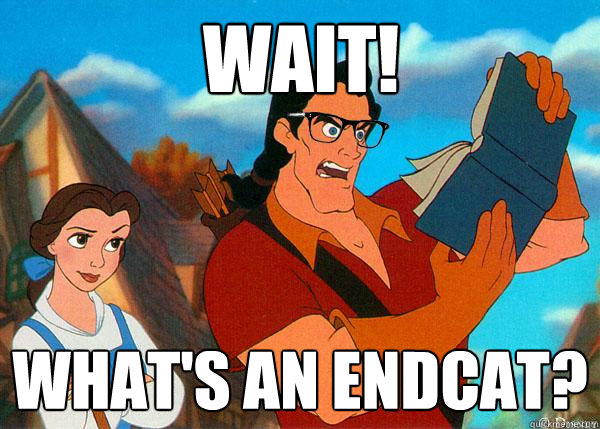 Wait! What's an EndCat?  Hipster Gaston 2