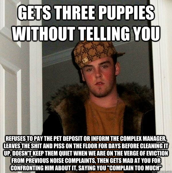 Gets three puppies without telling you REFUSES TO PAY THE PET DEPOSIT OR INFORM THE COMPLEX MANAGER, LEAVES THE SHIT AND PISS ON THE FLOOR FOR DAYS BEFORE CLEANING IT UP, DOESN'T KEEP THEM QUIET WHEN WE ARE ON THE VERGE OF EVICTION FROM PREVIOUS NOISE COM  Scumbag Steve