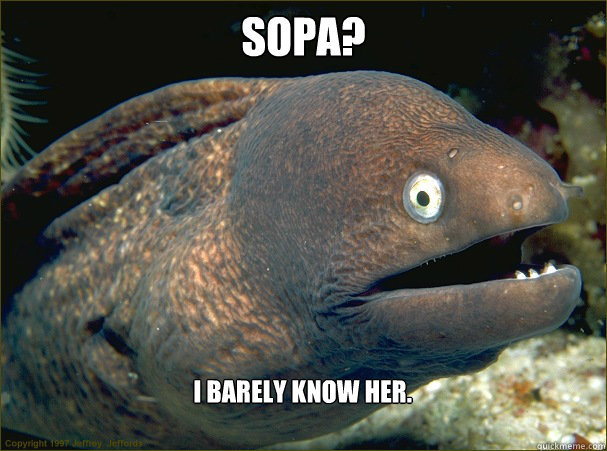 Sopa? I barely know her.   Bad Joke Eel