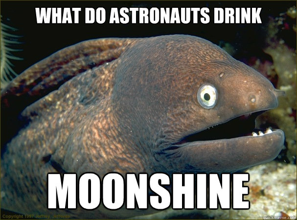 WHAT DO ASTRONAUTS DRINK  MOONSHINE  Bad Joke Eel