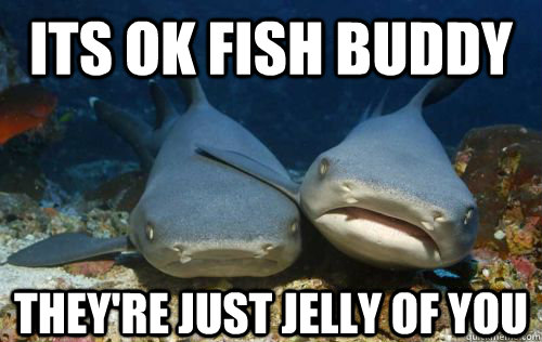 its ok fish buddy they're just jelly of you - its ok fish buddy they're just jelly of you  Compassionate Shark Friend