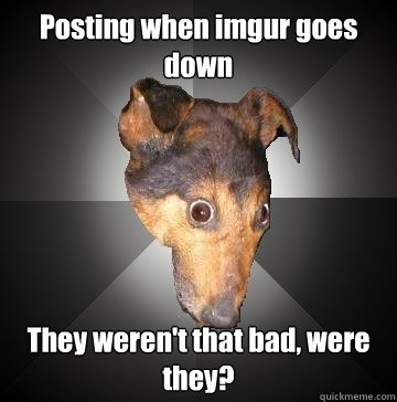 Posting when imgur goes down They weren't that bad, were they?  Depression Dog