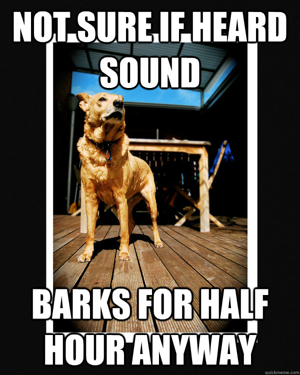 not sure if heard sound barks for half hour anyway  