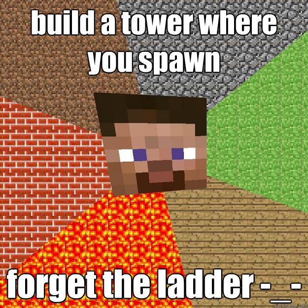 build a tower where you spawn forget the ladder -_-  Minecraft