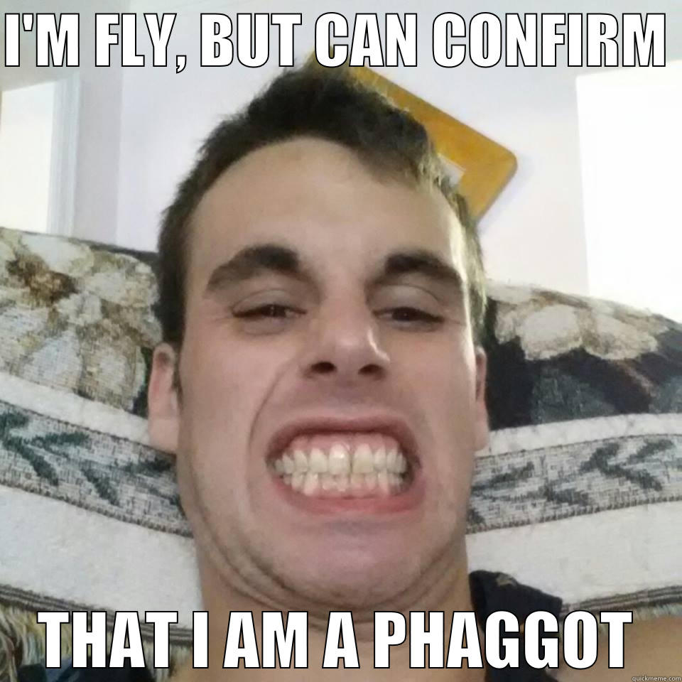 OP IS A PHAGGOT - I'M FLY, BUT CAN CONFIRM  THAT I AM A PHAGGOT Misc