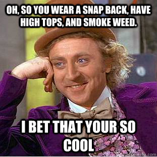 Oh, so you wear a snap back, have high tops, and smoke weed. I bet that your so cool  Condescending Wonka