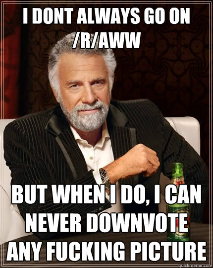 I dont always go on /r/aww but when i do, i can never downvote any fucking picture  The Most Interesting Man In The World