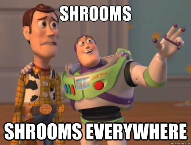 Shrooms shrooms everywhere  Toy Story