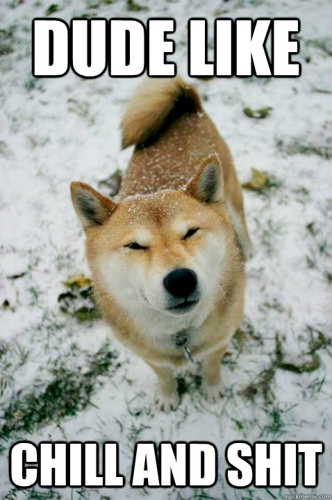 dude like chill and shit  Stoner Dog