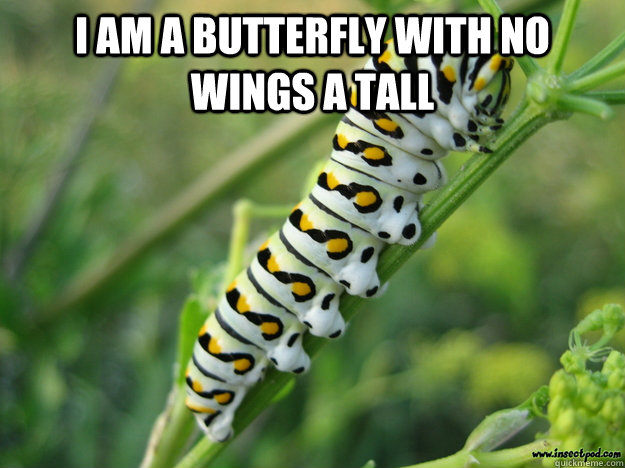 I am a butterfly with no wings a tall   