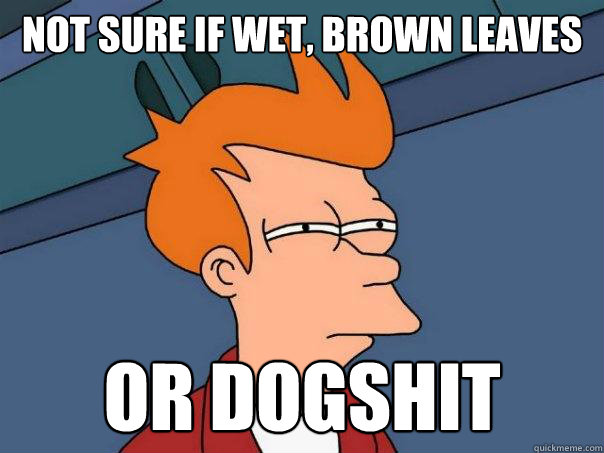 not sure if wet, brown leaves or dogshit  Futurama Fry