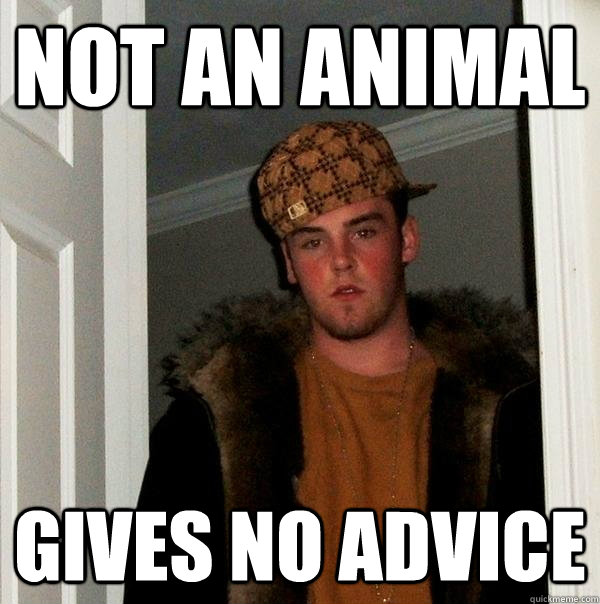 NOT AN ANIMAL GIVES NO ADVICE  Scumbag Steve