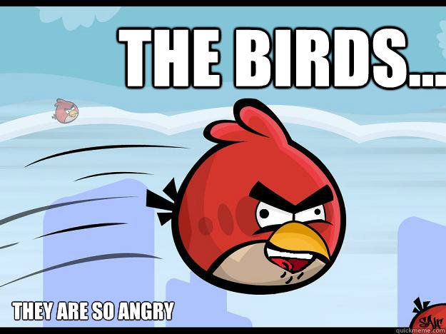 The Birds... They are so angry - The Birds... They are so angry  FUCK YOU BITCH I GOTZ ANGRY BIRDS