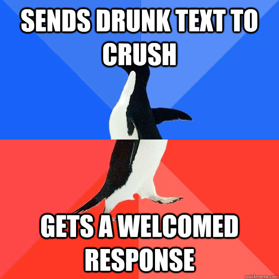 Sends drunk text to crush gets a welcomed response   Socially Awkward Awesome Penguin