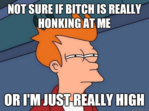 not sure if Bitch is really honking at me or I'm just really high  Futurama Fry