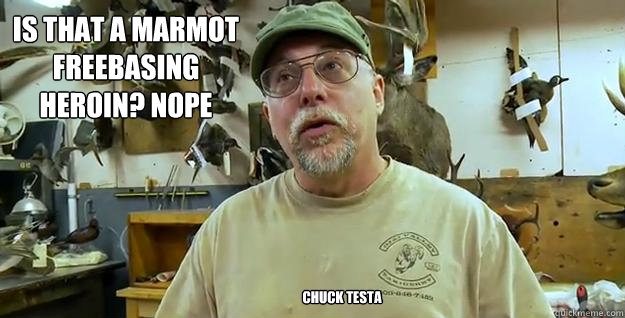 Is that a marmot freebasing heroin? NOPE CHUCK TESTA  