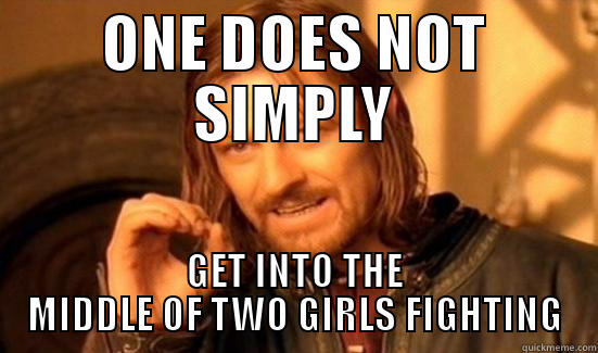 YOU'LL GONNA LOOSE! - ONE DOES NOT SIMPLY GET INTO THE MIDDLE OF TWO GIRLS FIGHTING Boromir