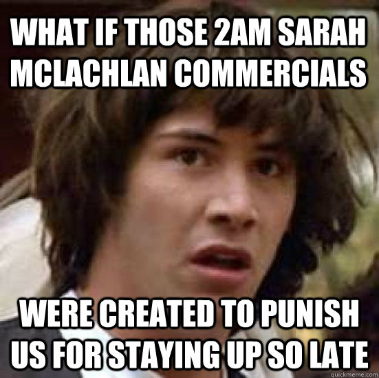 What if those 2am sarah mclachlan commercials were created to punish us for staying up so late - What if those 2am sarah mclachlan commercials were created to punish us for staying up so late  conspiracy keanu