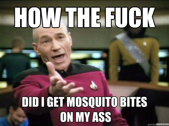 how the fuck did i get mosquito bites
 on my ass  Annoyed Picard HD