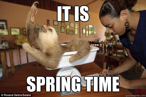 IT is SPRING TIME - IT is SPRING TIME  Dramatic Sloth