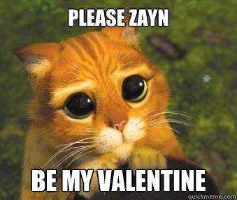 PLEASE ZAYN  BE MY VALENTINE  Puss in boots