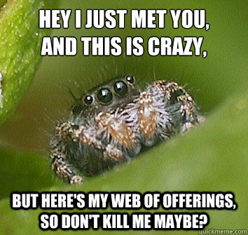 Hey I just met you, 
and this is crazy, but here's my web of offerings, so don't kill me maybe? - Hey I just met you, 
and this is crazy, but here's my web of offerings, so don't kill me maybe?  Misunderstood Spider