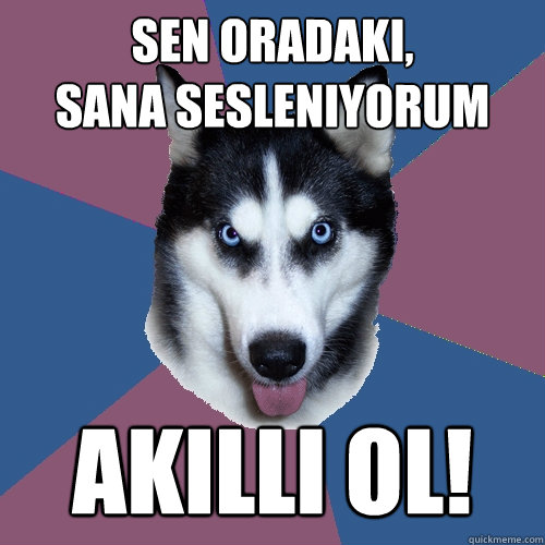 SEN ORADAKI, 
SANA SESLENIYORUM akıllı ol!  Creeper Canine