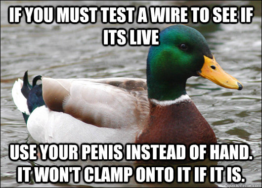 If you must test a wire to see if its live use your penis instead of hand. It won't clamp onto it if it is.  BadBadMallard