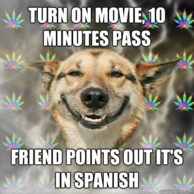 turn on movie, 10 minutes pass friend points out it's in spanish  Stoner Dog