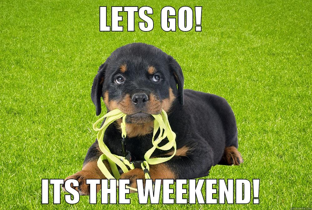 LETS GO!  ITS THE WEEKEND!  Misc