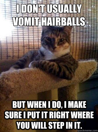 I don't usually vomit hairballs but when I do, I make sure I put it right where you will step in it.  The Most Interesting Cat in the World